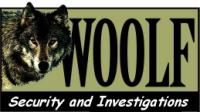 CA Private Investigator