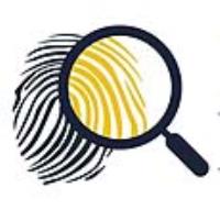 Greater London Private Investigator