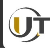 UT Private Security Ltd.